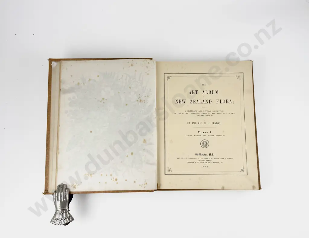 Featon Mr & Mrs E H - The Art Album of New Zealand Flora Volume I Image 1++