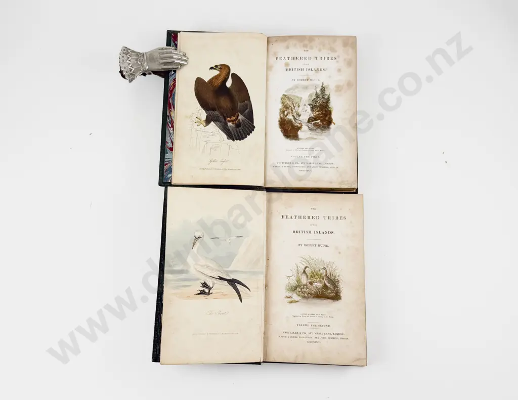 Mudie Robert - The Feathered Tribes Of The British Islands (2 Volumes) Image 1++