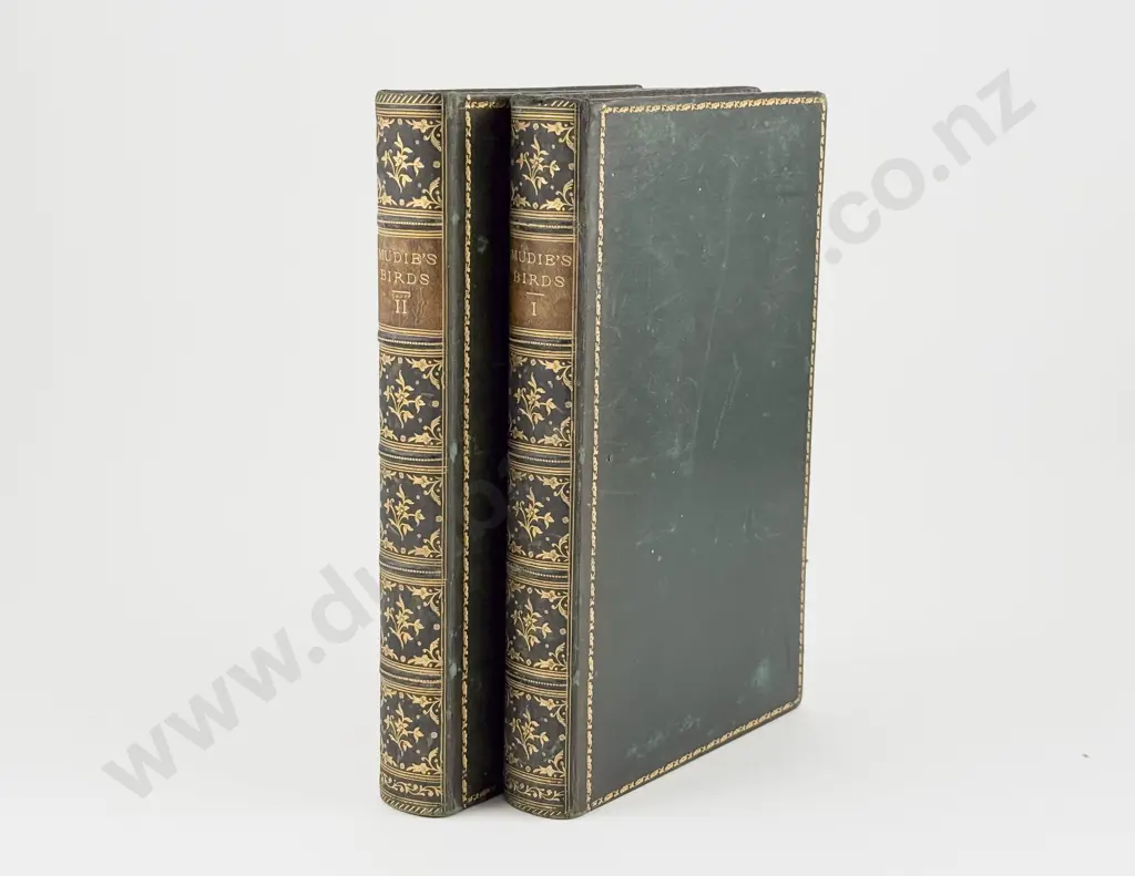 Mudie Robert - The Feathered Tribes Of The British Islands (2 Volumes) Image 1++