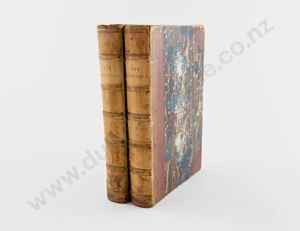 Pendennis Arthur - The Newcomes (2 Volumes) Image 1++