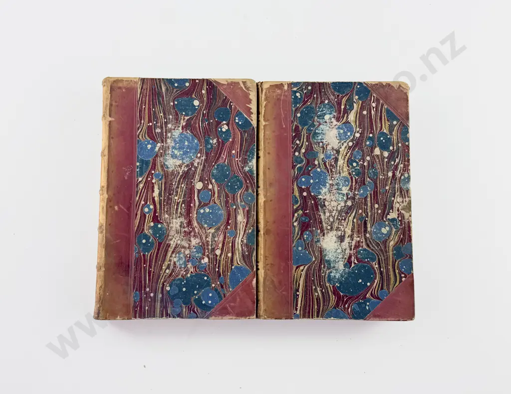 Pendennis Arthur - The Newcomes (2 Volumes) Image 1++