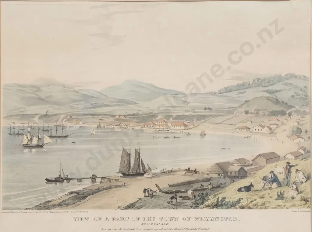 Charles Heaphy (after) A View Of Part Of The Town Of Wellington Image 1++