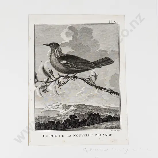 After William Hodges - Le Poe De La Nouvelle Zelande