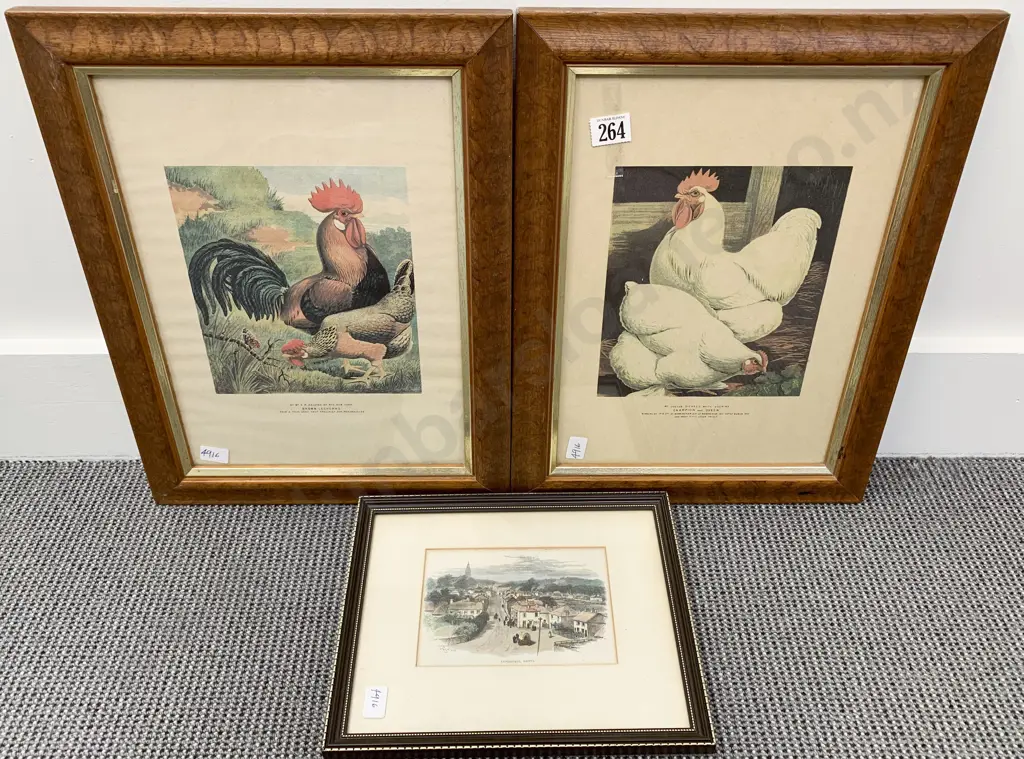 Two Vintage Poultry Prints & Other Image 1++