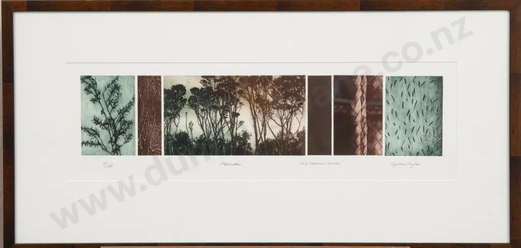 Cynthia Taylor - "Manuka" "NZ Native Series" - Ltd Ed Print Image 1++