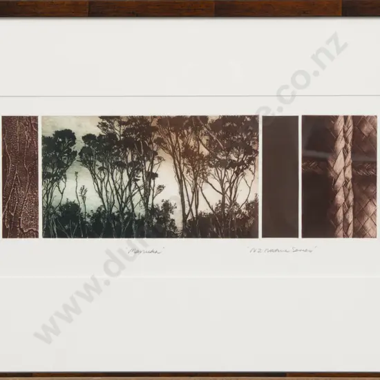 Cynthia Taylor - "Manuka" "NZ Native Series" - Ltd Ed Print