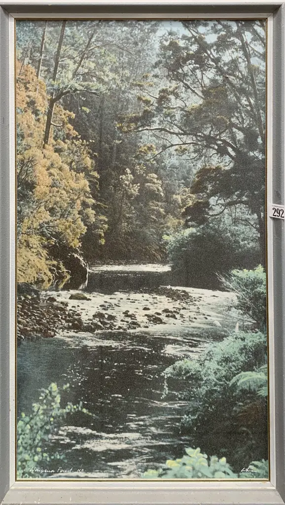 Whites Aviation - Waipoua Forest - Photographic Print Image 1++