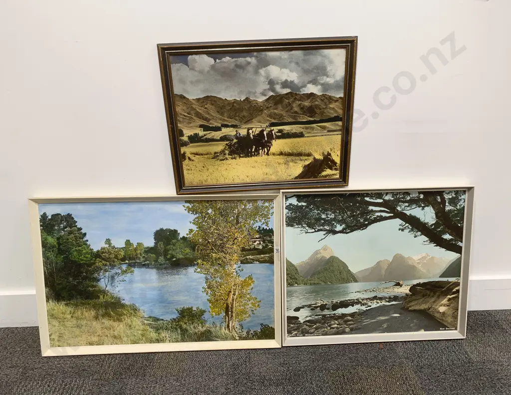 Three Assorted NZ Photographic Prints Image 1++