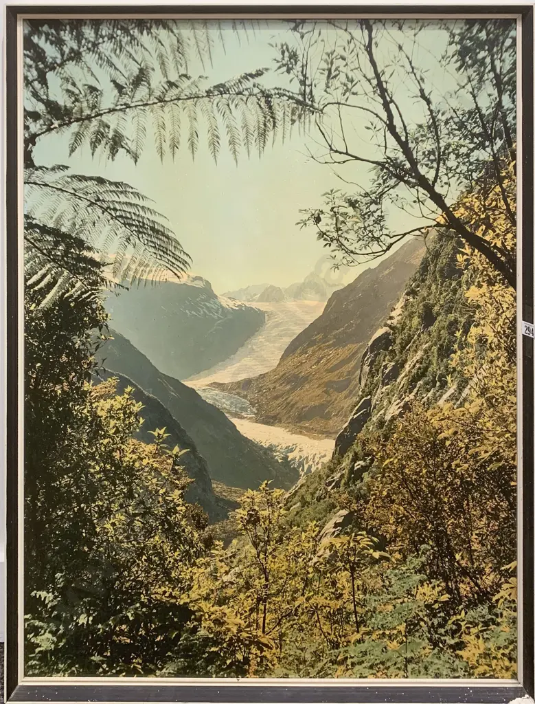 Large Framed NZ Photographic Print Image 1++