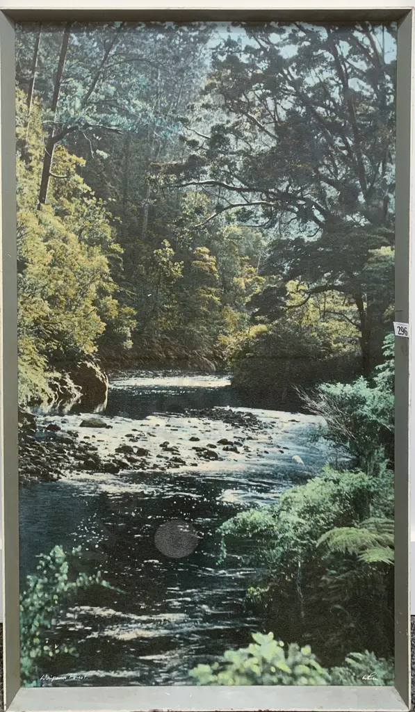 Whites Aviation - Waipoua Forest - Photographic Print Image 1++