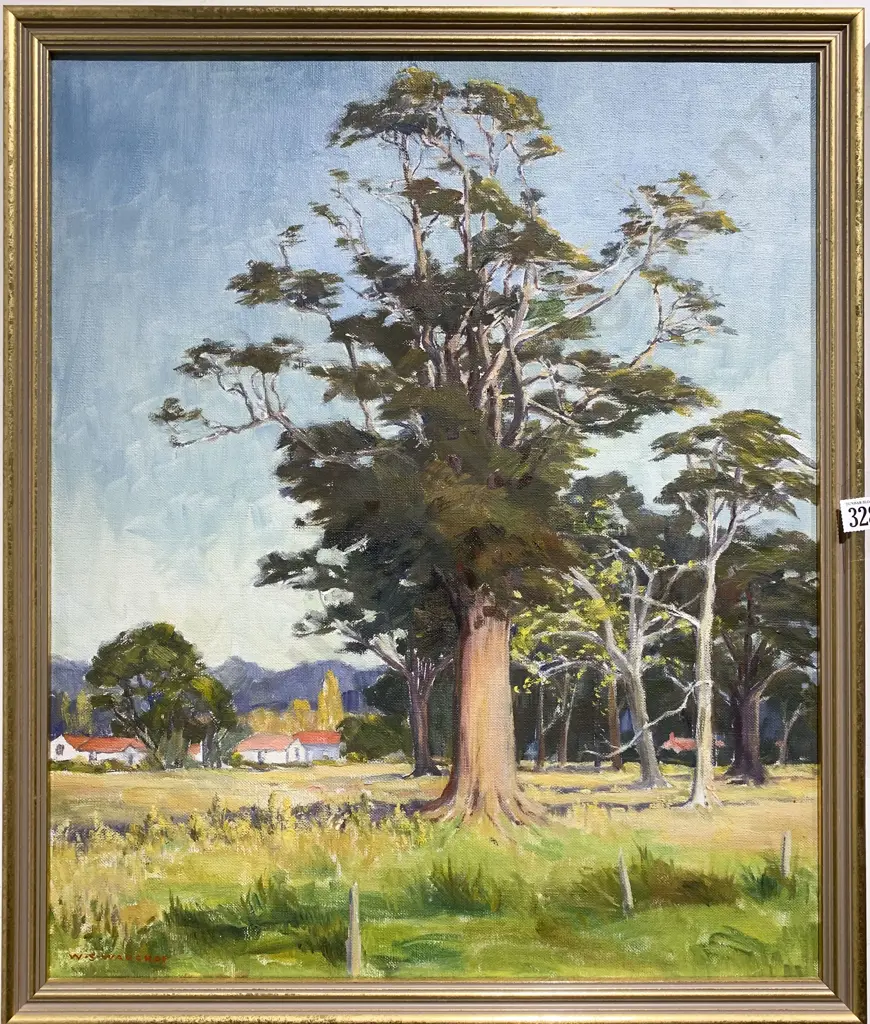 W. S. Wauchop - "The Old Totara Image 1++