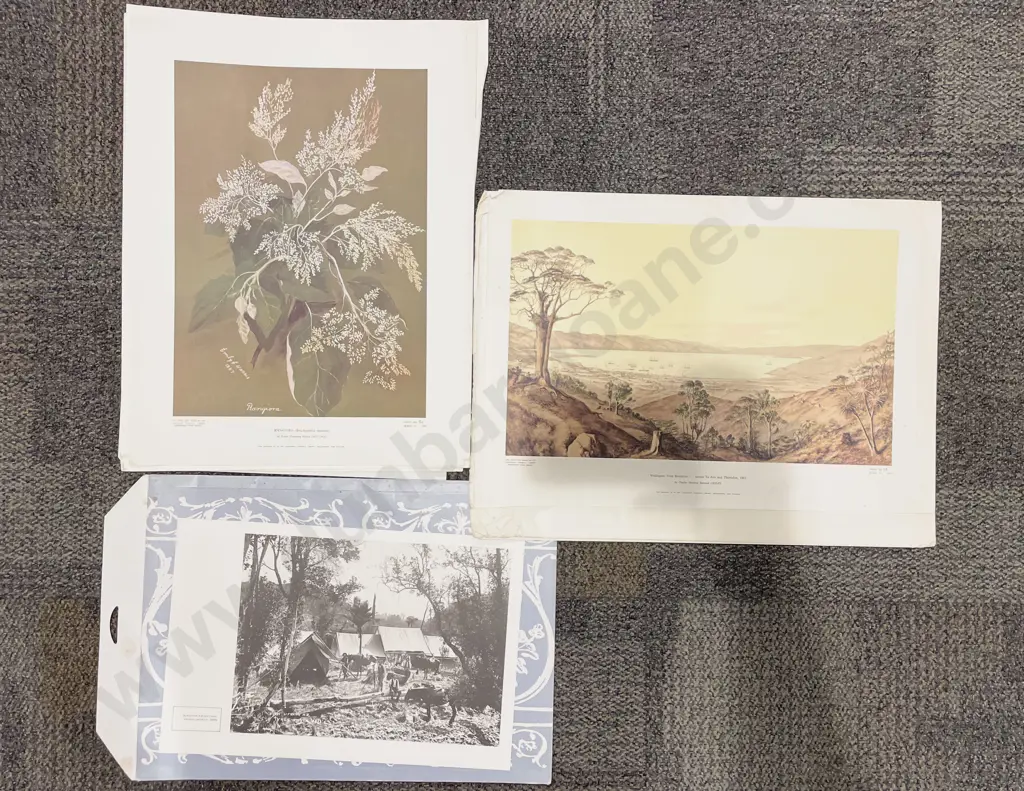 Quantity of Assorted Turnbull Library Prints Image 1++
