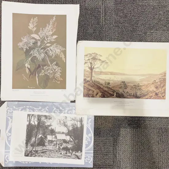 Quantity of Assorted Turnbull Library Prints