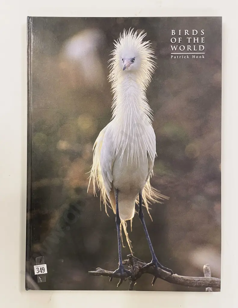 Birds of the World by Patrick Hook Image 1++