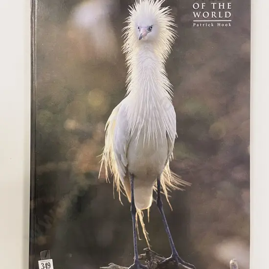 Birds of the World by Patrick Hook