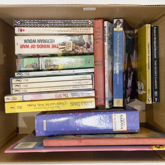 Box of Assorted Children's Books etc