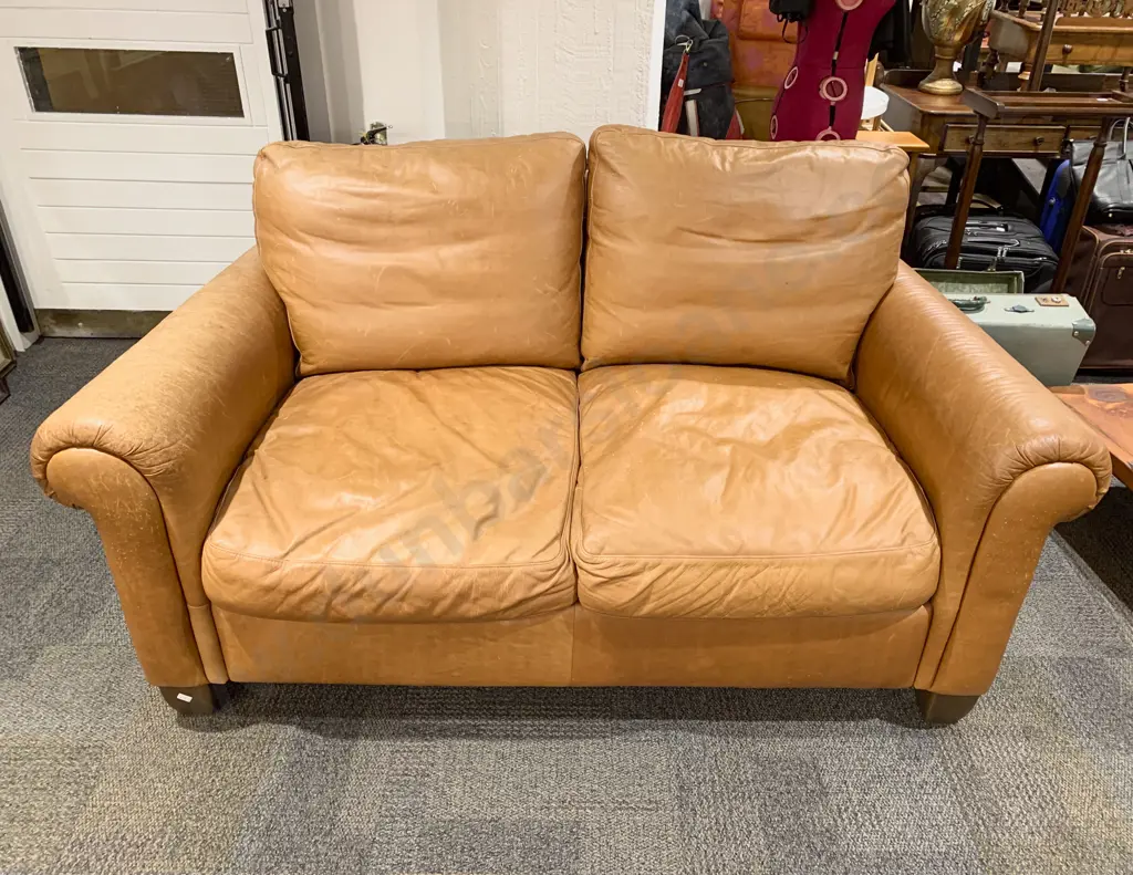 Natuzzi Leather Two Seater Sofa Image 1++