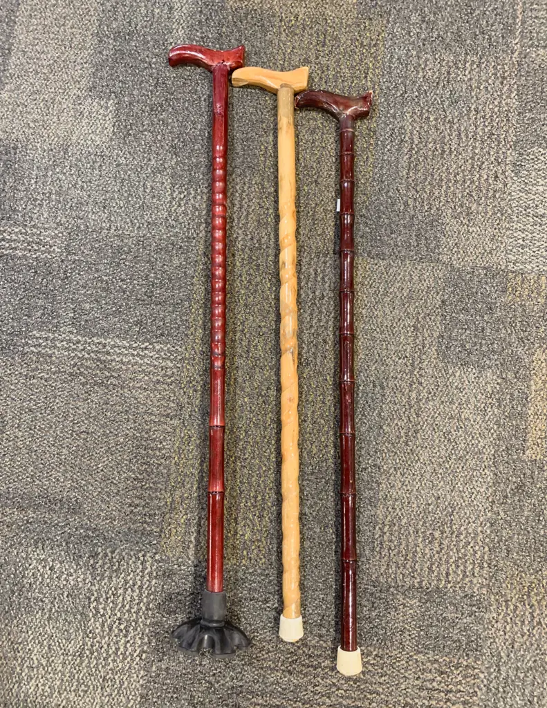 Three Assorted Walking Sticks Image 1++