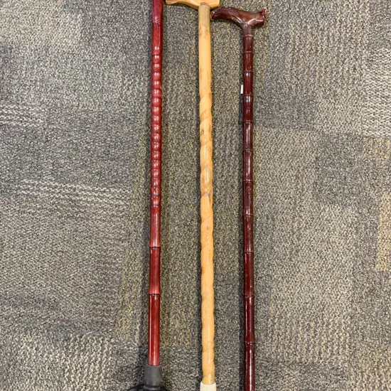Three Assorted Walking Sticks