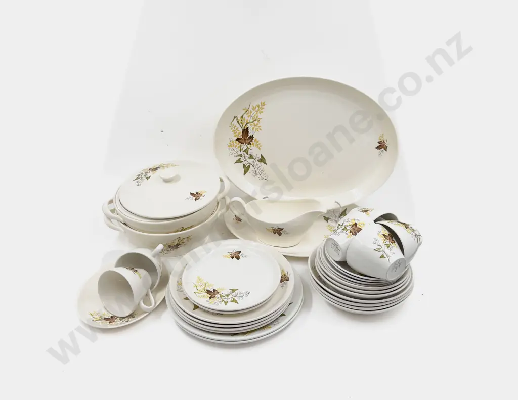 Crown Lynn "Autumn Splendor" Part Dinnerset Image 1++