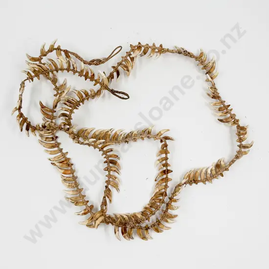 Papua New Guinea Warriors Dog Tooth Necklace