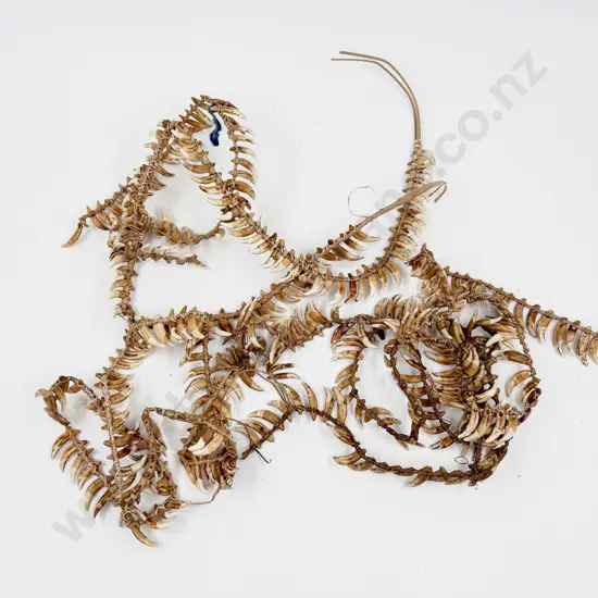 Papua New Guinea Warriors Dog Tooth Broken Necklace Lengths