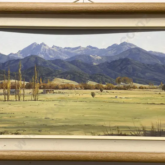 Graham Taylor - "Mount Arthur Range in Nelson" - Oil on Board