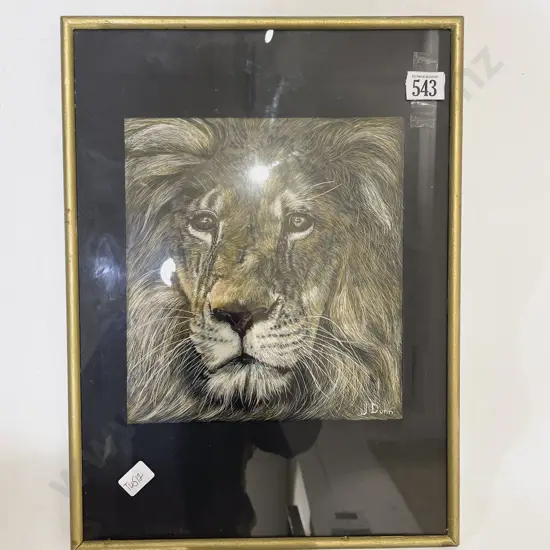 J. Dunn - Lion Study - Print