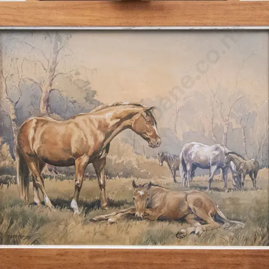 J. I. McMurtry - Horse Study - Watercolour