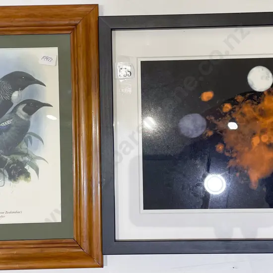 Lunar Study Photographic Print & Other