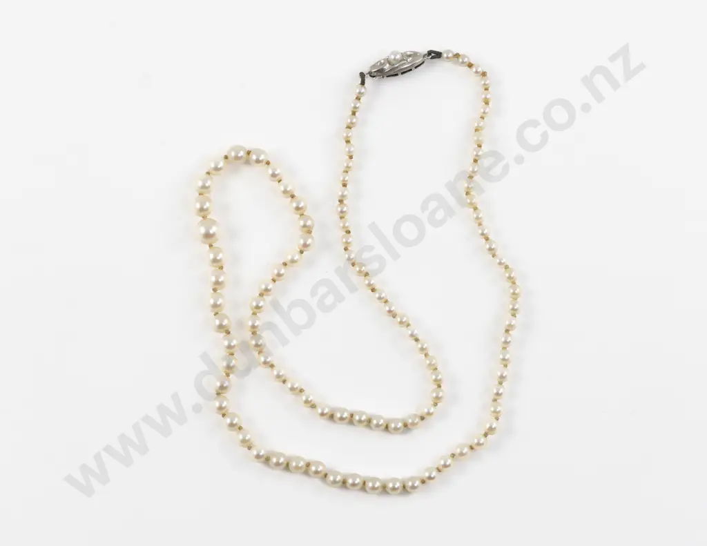 Single Strand Slightly Graduated Cultured Pearl Necklace Image 1++