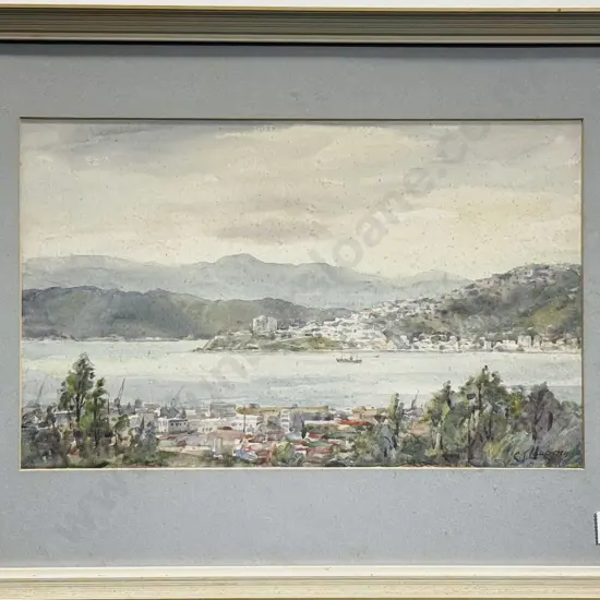 Carl Laugesen - Wellington Harbour From Northland