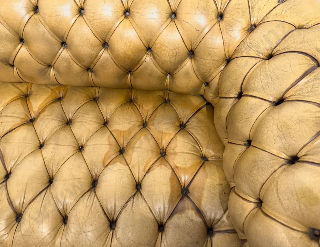 Deep Buttoned Chesterfield Sofa Image 1++