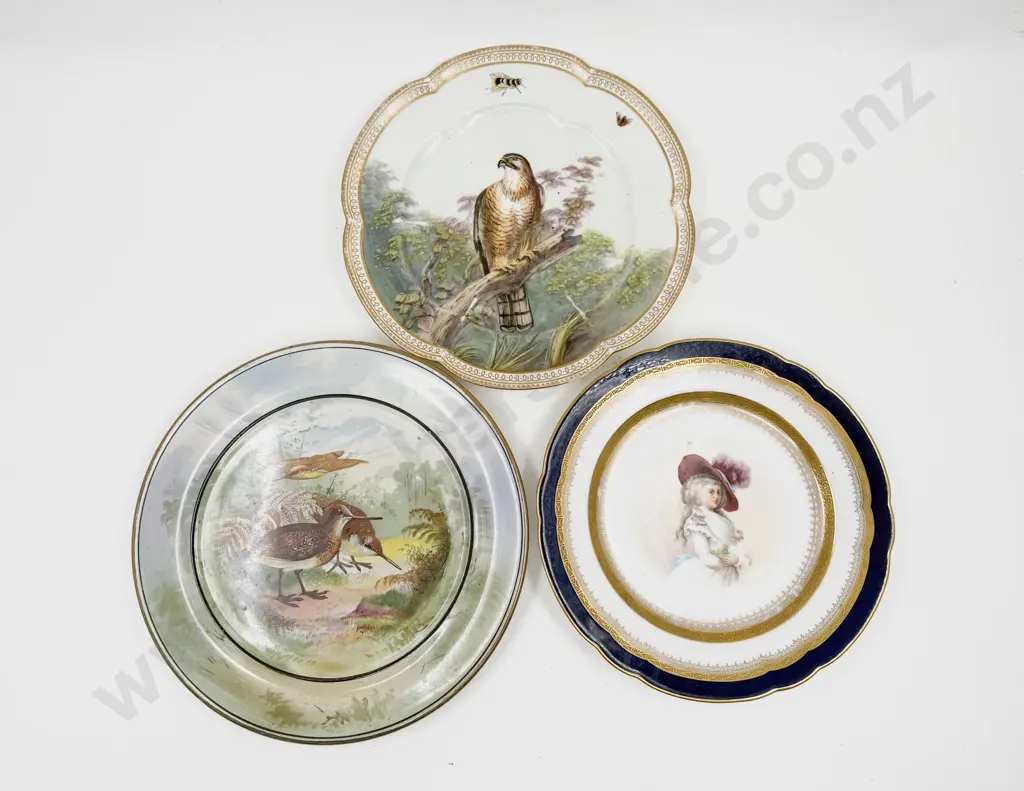 C19th Hand Painted Portrait Plate & Two Ornithological Plates Image 1++