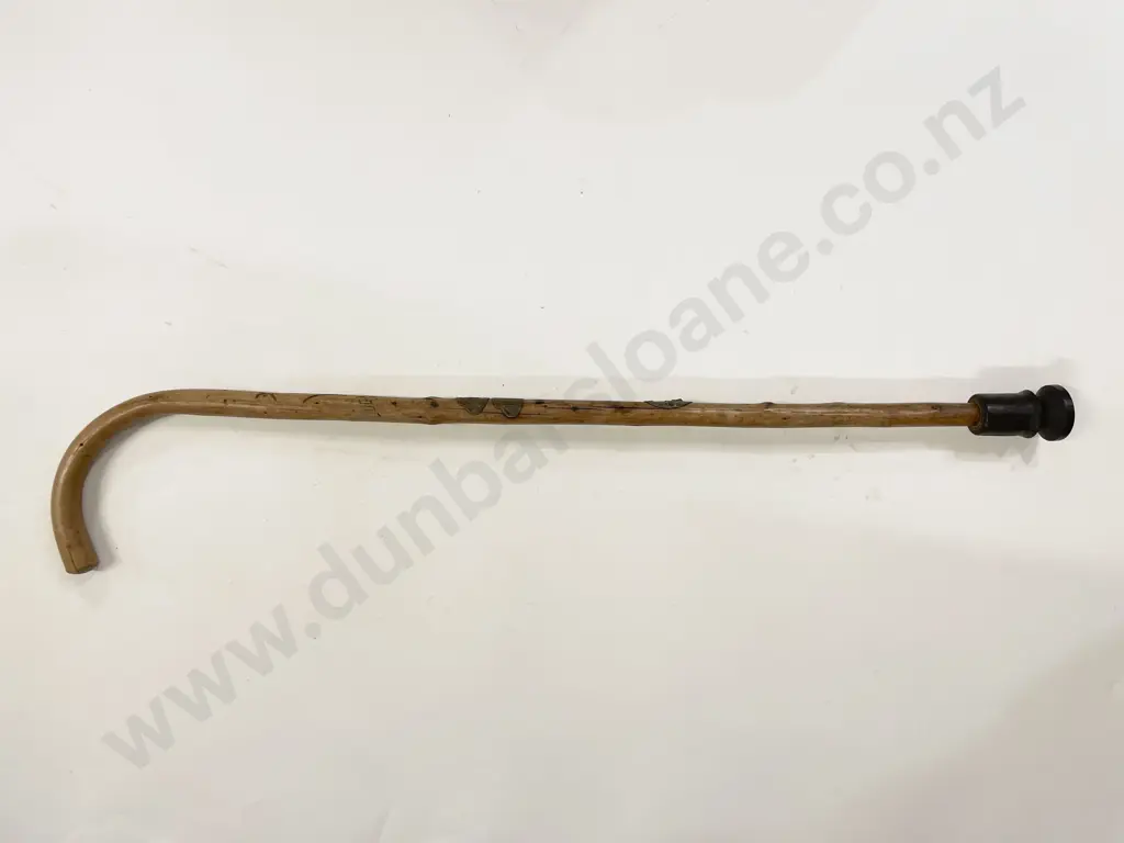 Vintage Walking Stick Image 1++