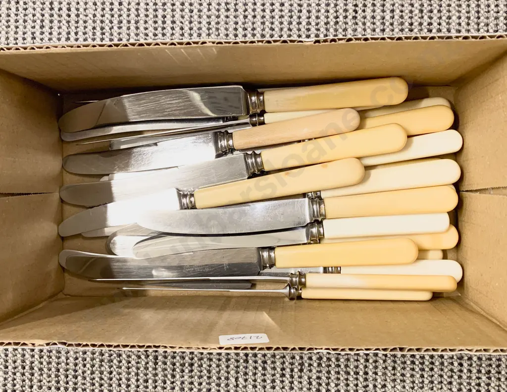 Quantity of Assorted Bone-Handled Knives Etc Image 1++