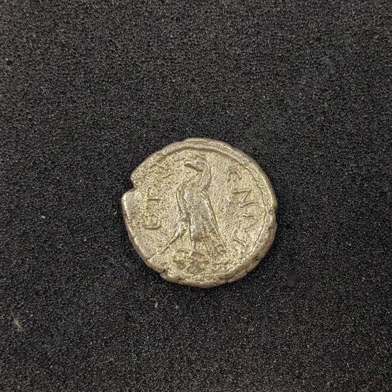 Roman Type Coin