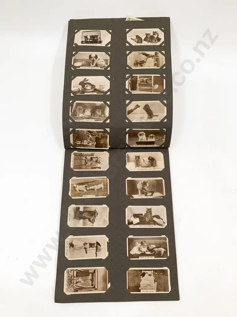 Cigarette Card Album and Cards Image 1++