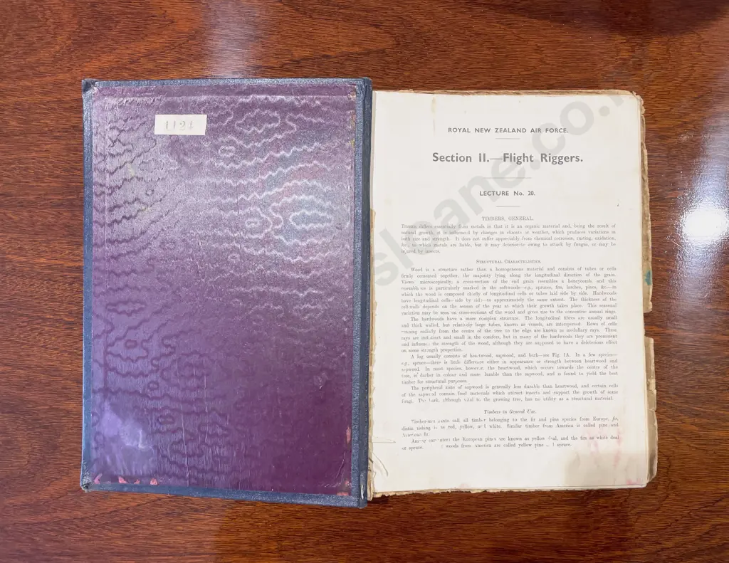 Vintage Ebonized Wooden Propeller Boss Image 1++