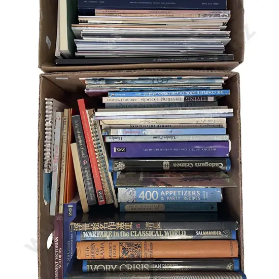 Two Boxes of Assorted Books