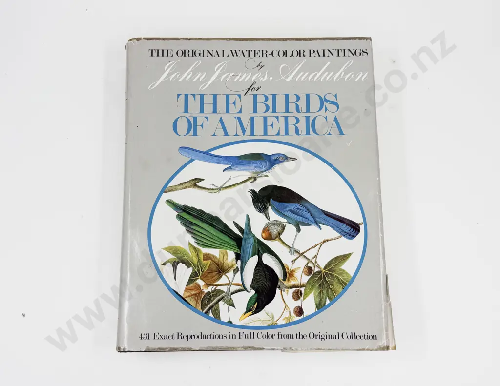 John James Audubon: The Birds of America Image 1++