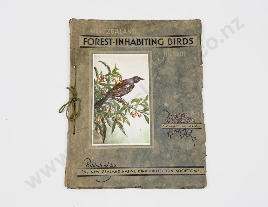 NZ Forest-Inhabiting Birds Image 1++