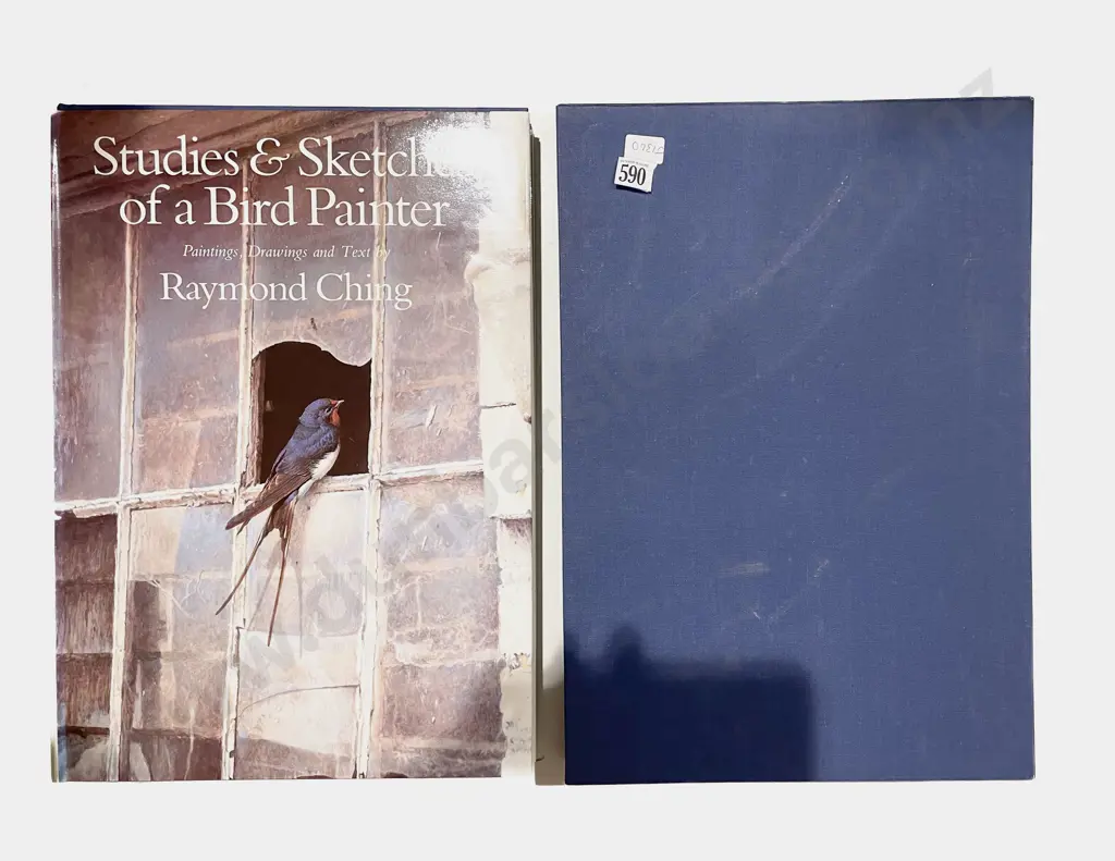 Raymond Ching: Studies & Sketches of a Bird Painting Image 1++
