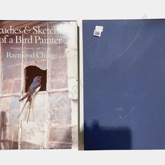 Raymond Ching: Studies & Sketches of a Bird Painting