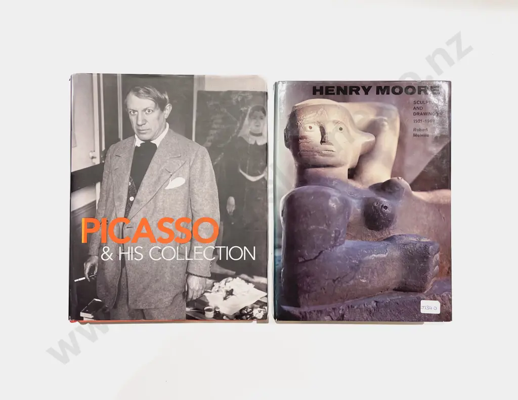 Picasso & His Collection Together with Henry Moore Reference Image 1++