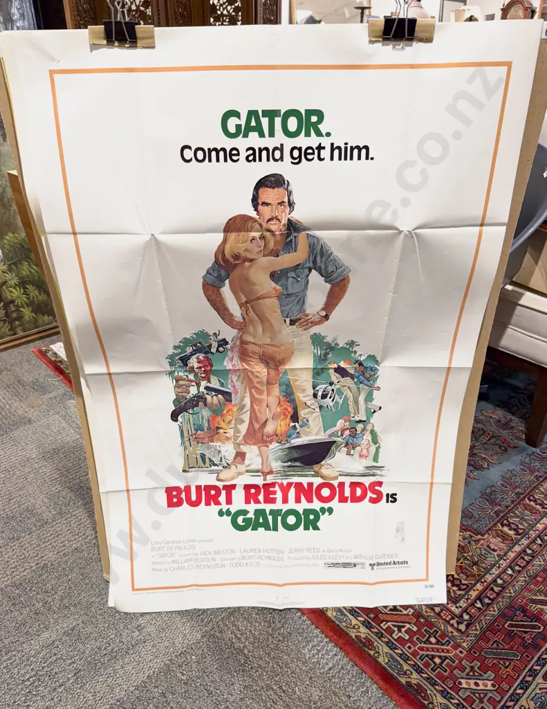 12 Assorted Large Vintage Movie Posters Image 1++