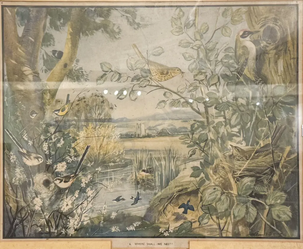 E. A. Soper - Where Shall We Nest? - Bird Study Print Image 1++