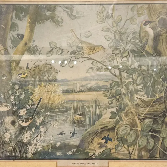 E. A. Soper - Where Shall We Nest? - Bird Study Print