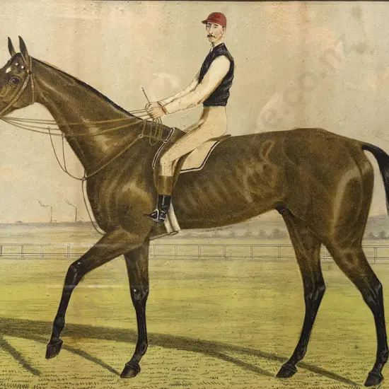 J. F. Herring - Horse & Jockey Print