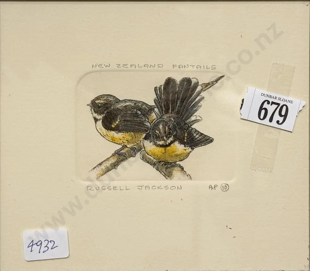 Russell Jackson - New Zealand Fantails - A/P Image 1++